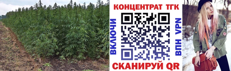 купить наркотики сайты мега как зайти ТГК вейп с тгк Шиханы